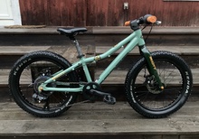 Scott Roxter Grön 20 "