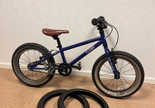 Cleary Hedgehog 16”