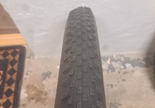Schwalbe Racing Ray 29x2.25
