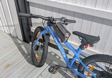 Specialized Riprock 20”