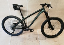 Dartmoor Bike Hornet 