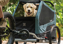 Hund Trailer Burley Bark Ranger XL