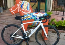 Specialized Roubaix Pro