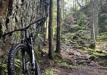 Fuel EX Transmission (XL)