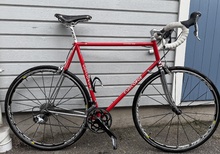 Concorde Astore stålram 10 växlad 