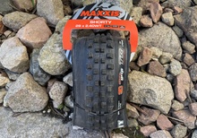 MAXXIS Shorty 29” DH