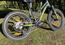 Specialized Rip Rock 20”