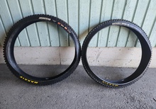 29" Däck För Trail/Enduro - Assegai EXO+ Maxxgrip + DHR II DD MaxTerra