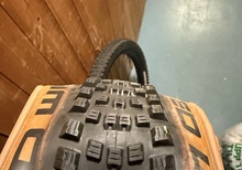 2st Schwalbe wicked Will 29*2,4