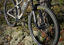 Transition Spur 2024 Large 