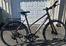 Nishiki race pace hybrid 