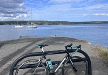 Bianchi Impulso Ultegra