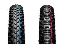 29x 2.25" Schwalbe Racing Ray + Racing Ralph super speed