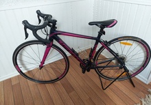 Scott Contessa speedster 15