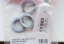 Servicekit DT Swiss Star Ratchet DT 54 SL