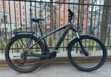 Trek Powerfly Sport 4 Equipped elcykel 29" ramstorlek L