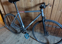 Fixie/Singlespeed