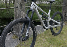 Canyon Torque Mullet