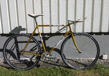 DBS Fixed Gear