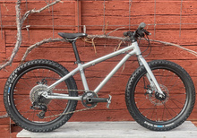 Early Rider Seeker 20"