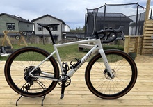 Specialized Diverge Large