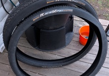 Continental RaceKing 29x2.2 Black chili Protection