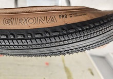 Bontrager Girona 42