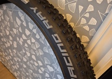 Schwalbe Racing Ray