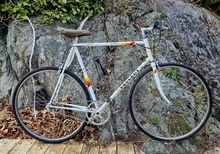 Peugoet Tourmalet Singlespeed