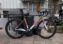 Specialized allez sprint disc - Rainbow Trout