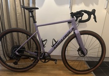 Santa cruz stigmata 2023