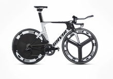 Gavia Daedalus 55cm Temporam 
