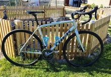 Trek Domane ALR4 