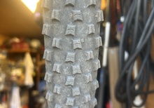 Continental 29”x2,2 crossking bärnstens färgad sida 