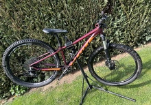 Scott contessa 40