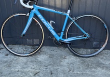 Focus Cayo stl XS