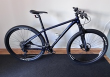 White XC 290 LTD GX. 2024