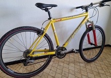Specialized Stumpjumper Pro Retro