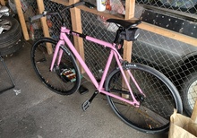 singelspeed /fixie 