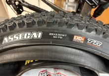 Maxxis Assegai 29x2.5 EXO+