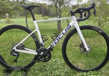 Focus Izalco Max 8.9 fullutustad stl 52 cm