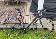 CANYON Ultimate WMN CF SL 8.0, size S