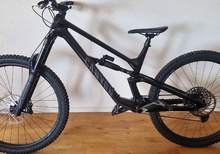 Canyon Torque CF7 29
