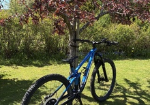 Trek Fuel EX 8 M Alpine blue 
