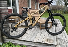 Transition sentinel carbon XL