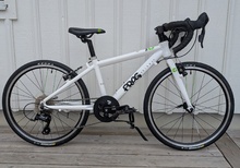 Frog 20"
