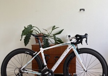 Bianchi Intenso Dama Bianca 105