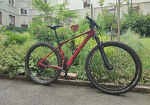Rockrider XC900 Kolfiber Hardtail