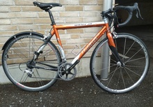 Wilier Gladio