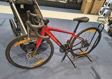 Bontrager Paradigm SL, TLR